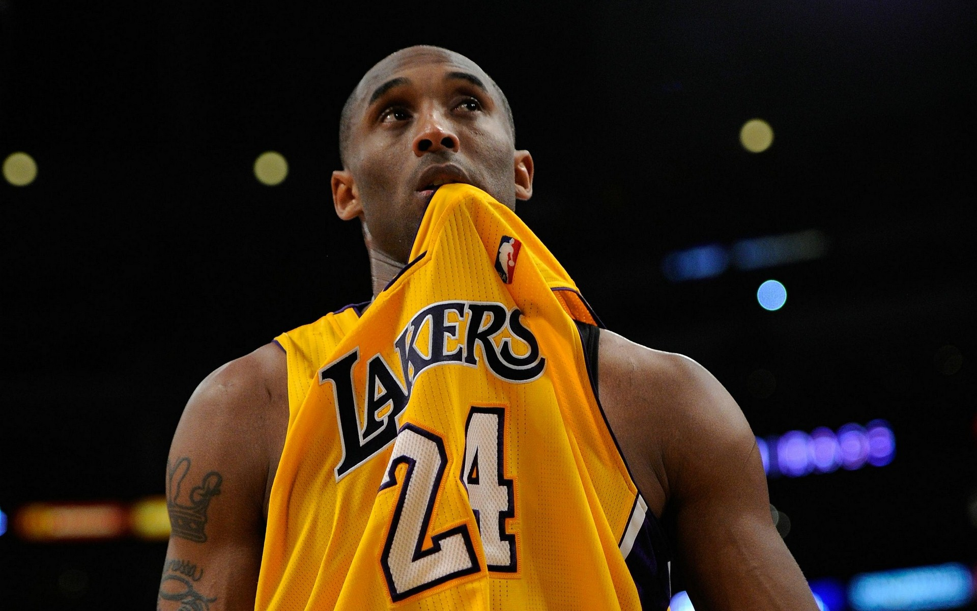 各地的优秀 各地的优秀